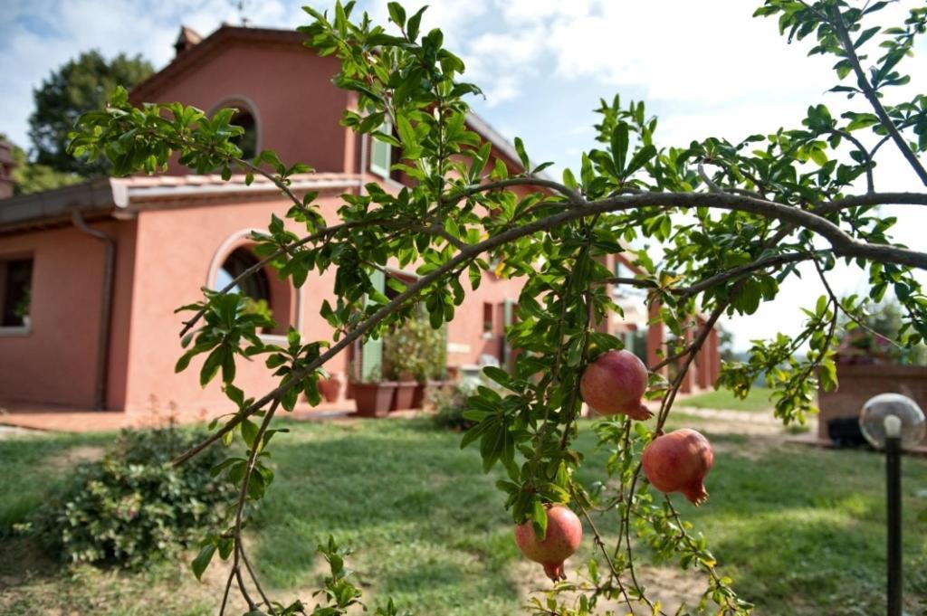 Podere Chiaromonte Palaia
