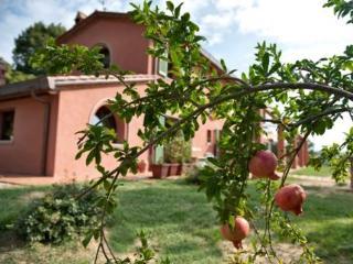 Podere Chiaromonte Palaia